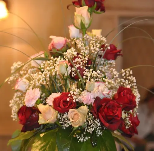 Vaihmalan Hovi فندق